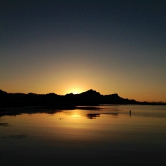 Laurin Harrison, 06.09