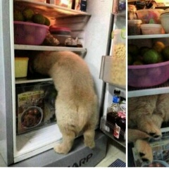 Муяссар Муяссар