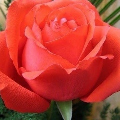 Саяна Тулеугалиева, 15.09, Астана