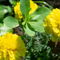 Иван Иванов, 19.12, Хабаровск