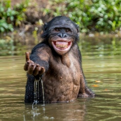 Марат Иржанов, 01.06, Москва