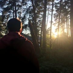 Заур Самедов