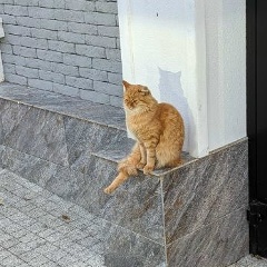 Pavel Fedorov, 02.09.1908, Кисловодск