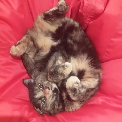 Леночка Родкина, 15.08.1990