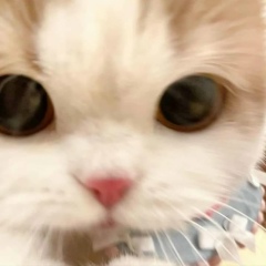 Володя Пепсикольный, 30.01, Санкт-Петербург