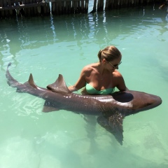 Anna Golikova, 10.04, Санкт-Петербург