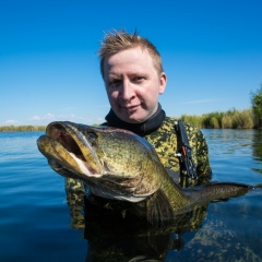 Алексей Смирнов
