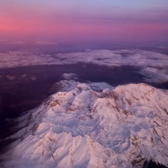 Ольга , 01.02.1984, Москва