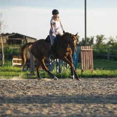 Елена Иванова, Новосибирск