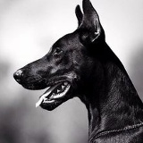 Денис Бухтарьов, 18.09.1984, Калуш