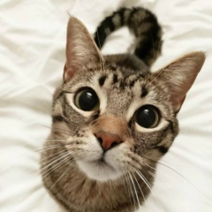 Андрей Баранов, 26.01.1987, Моздок