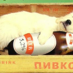 Анара Аманбаева, 08.08.1987, Москва