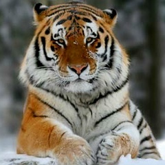 Александр Измайлов, 26.12.1987, Псков