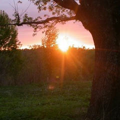 Олег Глазунов, 17.04.1981, Санкт-Петербург