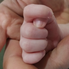 Александр Цыганенко, 20.05.1988, Пенза