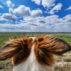 Хаким Сарсеков, 03.09.1987, Караганда