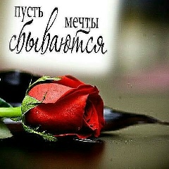 Марал Макинтош