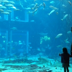 Николай Раевских, 17.10.1988, Москва