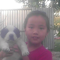 Нуржайна Гаипов