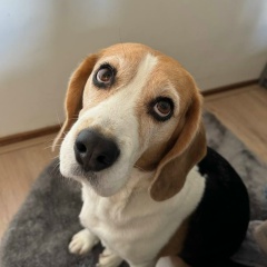 Дима Ильин, 06.07.1989, Новосибирск