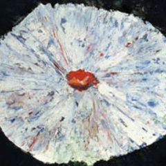 Даша Князева, 08.08, Москва