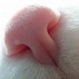 Юлия Карташова, 08.08.1991, Санкт-Петербург