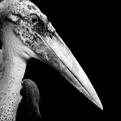 Сергей Иванов, 30.08, Санкт-Петербург