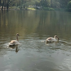Екатерина Владимировна, Москва