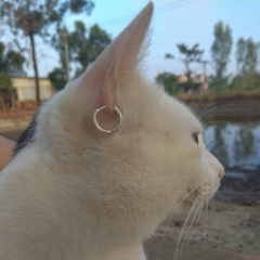 Minn Hein, 17.09.1992, Pyin Oo Lwin (Maymyo)