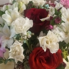 Чеченмаа Куулар, Кызыл