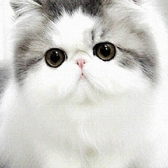 Мария Митницкая, 24.10, Самара