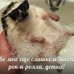 Николай Труфанов, Запорожье