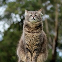 Антон Желяпов, 29.02.1904, Одесса