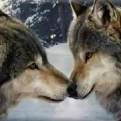 Елена Галкина, 01.06, Москва