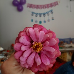 Айдана Тенелбаева, 13.08, Доссор