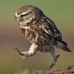 Жанна Нусипова, 04.06, Санкт-Петербург