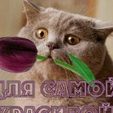 Вова Супрунов