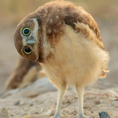 Игорь Руденко, Архангельск