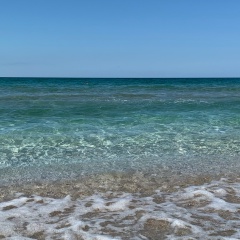 Егор Шмелев, Москва