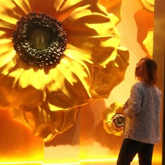 Ольга Акимова, Сочи