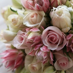 Юлия Алексеева, Санкт-Петербург