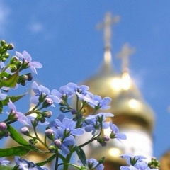 Марина Глазырина