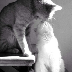 Ихтияр Алиев, 16.10.1993, Одинцово