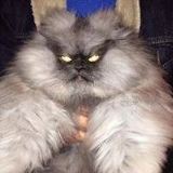 The Alphie, 15.11.1989, Минск