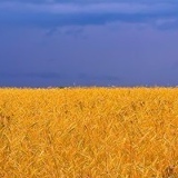 Сергей Романенко, Владивосток