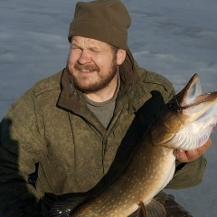 Алексей Захаров, Великий Новгород