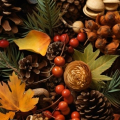 Марина Евдокимова, Тверь