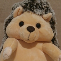 Константин Кузовов, 17.02, Москва