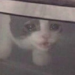 Игорь Егоров, 06.05.1992