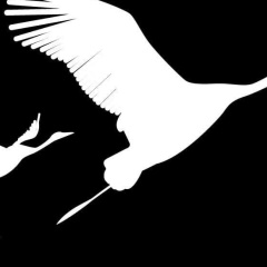 Олег Гончаренко, 19.09.1978, Хабаровск